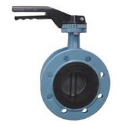 Concentric butterfly valve